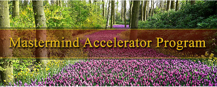 Mastermind Accelerator Program Banner Image